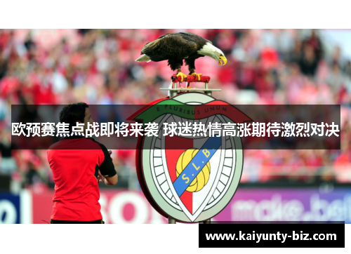 欧预赛焦点战即将来袭 球迷热情高涨期待激烈对决