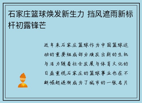 石家庄篮球焕发新生力 挡风遮雨新标杆初露锋芒