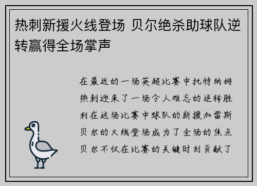 热刺新援火线登场 贝尔绝杀助球队逆转赢得全场掌声