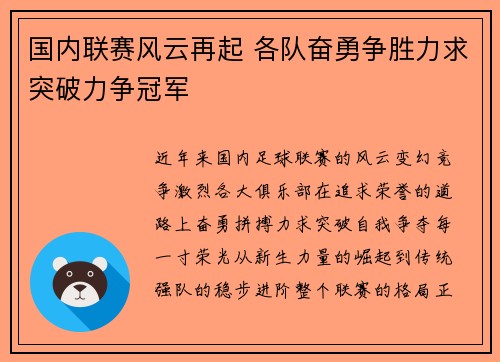 国内联赛风云再起 各队奋勇争胜力求突破力争冠军