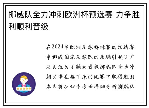 挪威队全力冲刺欧洲杯预选赛 力争胜利顺利晋级