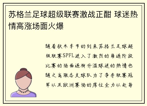 苏格兰足球超级联赛激战正酣 球迷热情高涨场面火爆